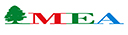 Middle East Airlines